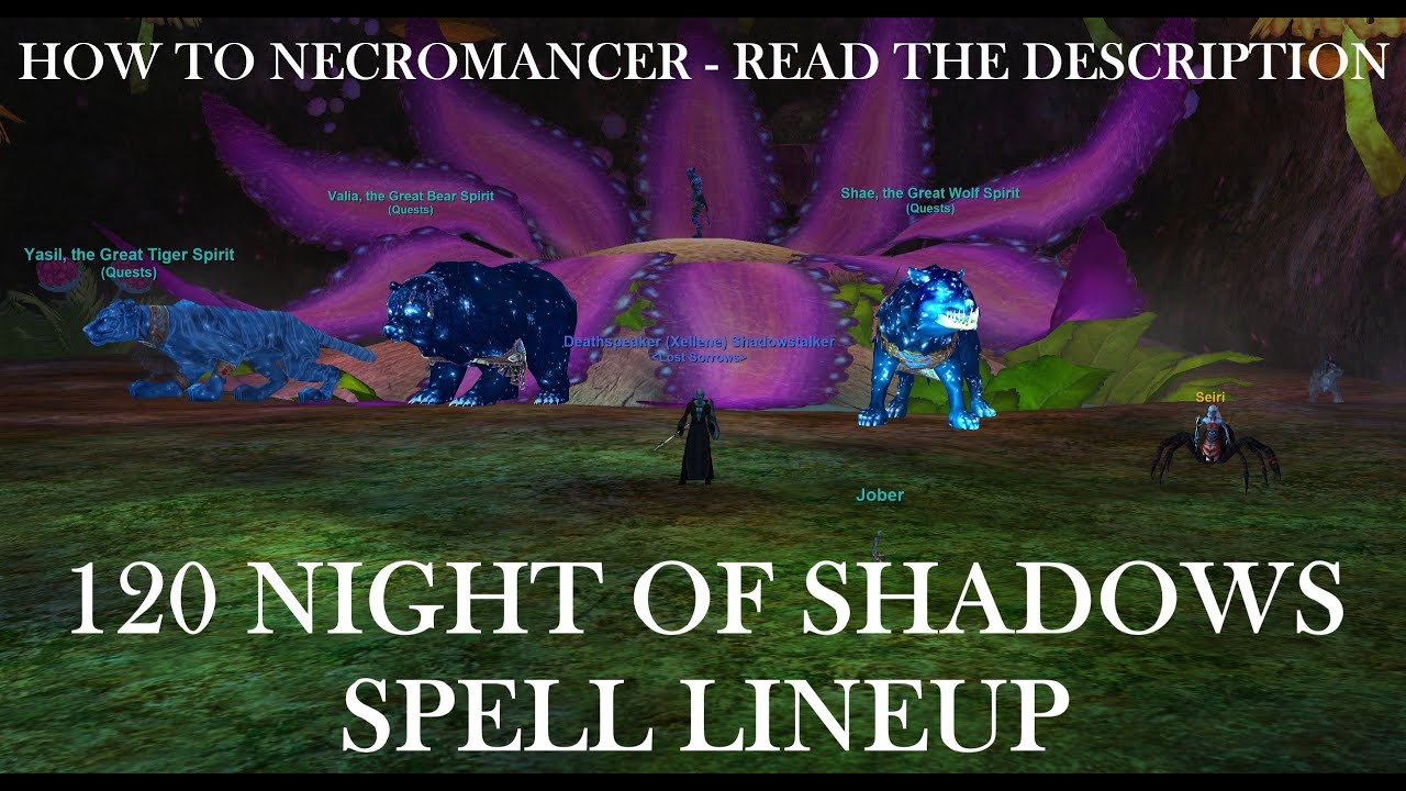 Night of Shadows 120 Spell Line Up and Casting Order How to EverQuest Necromancer YouTube