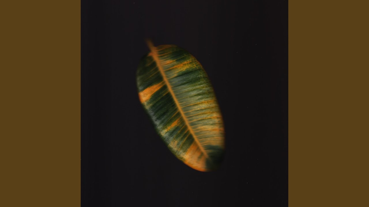 Guarda Hypnopolis su YouTube Guarda Hypnopolis su YouTube