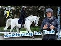 Freiwilliges herantreten ans Gebiss im Trab | reiten lernen