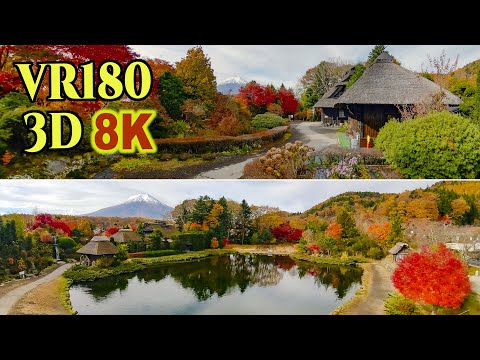 8K 3D VR180 ] 紅葉と富士山(2025-3)：忍野八海 - YouTube
