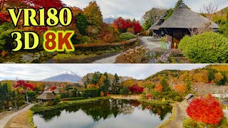 8K 3D VR180 ] 紅葉と富士山(2025-3)：忍野八海 - YouTube