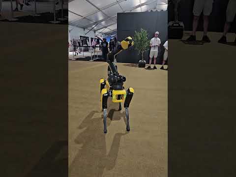 Robot Dog With Claw Arm