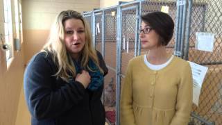 Naperville Area Humane Society Kennel Project
