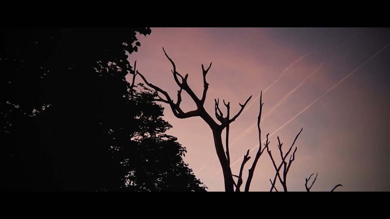 The A Frame Cabin Cinematic Video