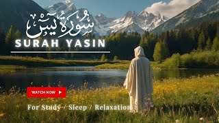 SURAH YASIN SOOTHING Recitation | SURAH YASIN (Yaseen) سورة يس | Revelation 3.0