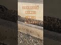 ※【遠隔参拝】白蛇神社⛩本編公開中！ #Shorts #金運爆上げ #遠隔参拝 #大開運 #パワースポット神社 #財運アップ #金運が上がる #ご利益 #白蛇弁財天 #稲荷 #臨時収入 #金運アップ