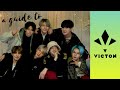 an (un)helpful guide to victon (2020)