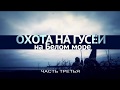 Охота на гусей на Белом море 3 часть (Hunting for geese in the White Sea. Part 3)