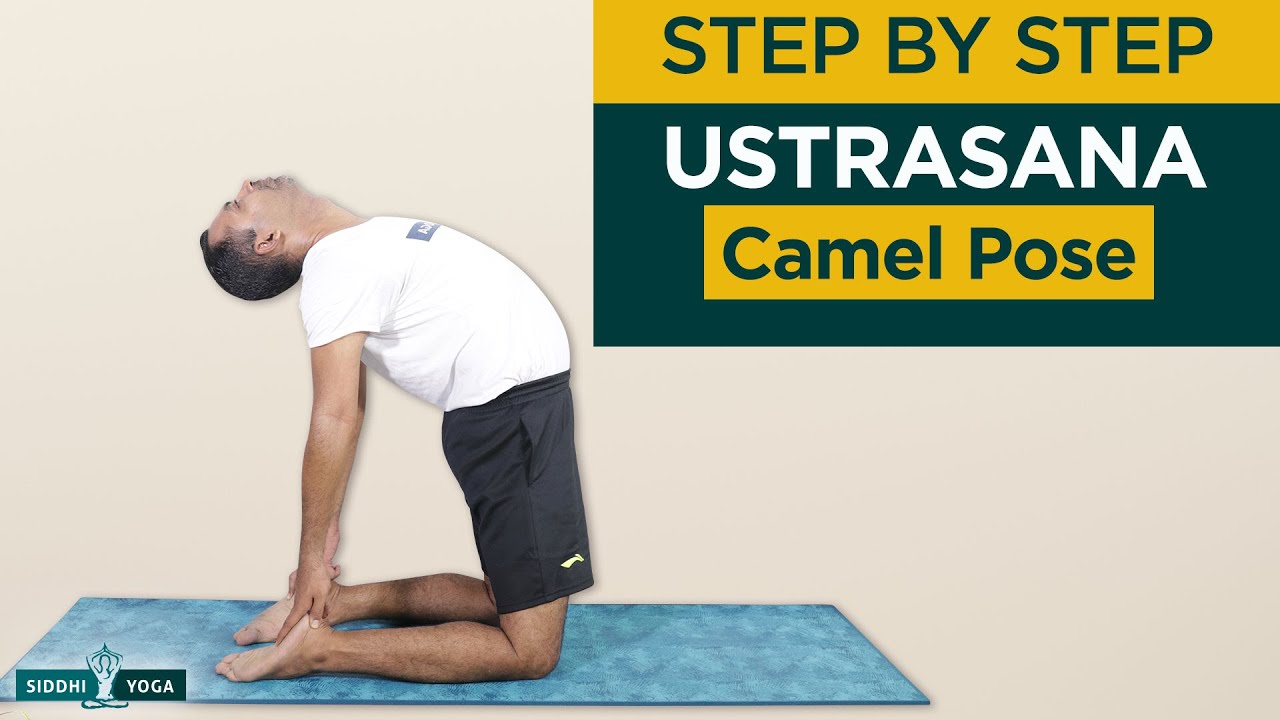 उष्ट्रासन योग (Camel Pose) की विधि, फायदे और सावधानी » nirogikaya.com