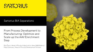 From Process Development to Manufacturing: Optimize and Scale up the AAV Enrichment Step