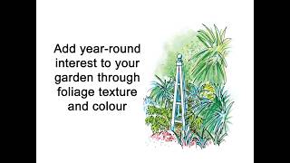 2.8 Landscape design: Contrast through leaf texture and colour