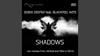 Shadows (Trav & Volta Remix)