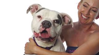 Adopt Mugsy at NKLA