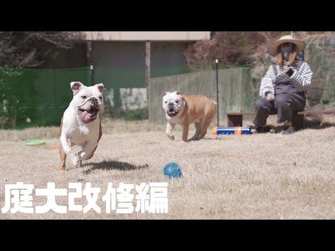 【1年以上放置】荒れ果てた庭を、愛犬専用ドッグランに大変貌させてみた！