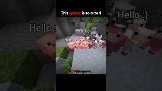 Minecraft Best Update😭 #minecraft #shorts