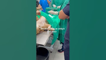 Mini Vlog de estágio supervisionado de Medicina Veterinária 🩷