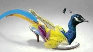 Video Lucu Sepatu Unik, Nyleneh Dan Lucu Di Dunia