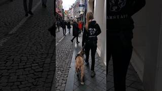 City Training