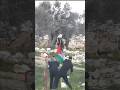 فلسطين اكسبلور Middleeast فلسطين اكسبلور Middleeast