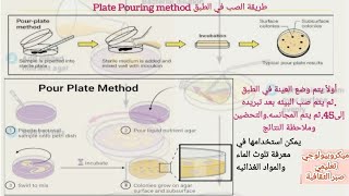 ميكروبيولوجي تعليمي 2 @ عزل البكتيريا