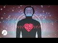 Herz & Gehirn Kohärenz - Synchronisation durch Kohärenztraining (197 Hz+1000 Hz) Heilende Frequenzen
