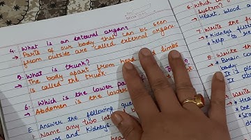 CLASS 3 EVS WORKSHEET CHAPTER OUR BODY