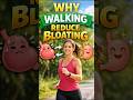 Why Walking Reduce Bloating  #fitnessshorts  #fatburningsecrets  #healthyfood  #bloating