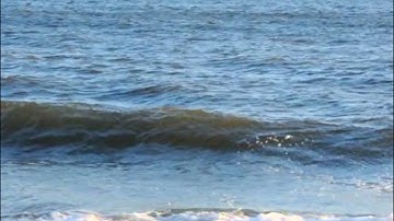 Reading the Beach - Understanding Waves & Wave Action