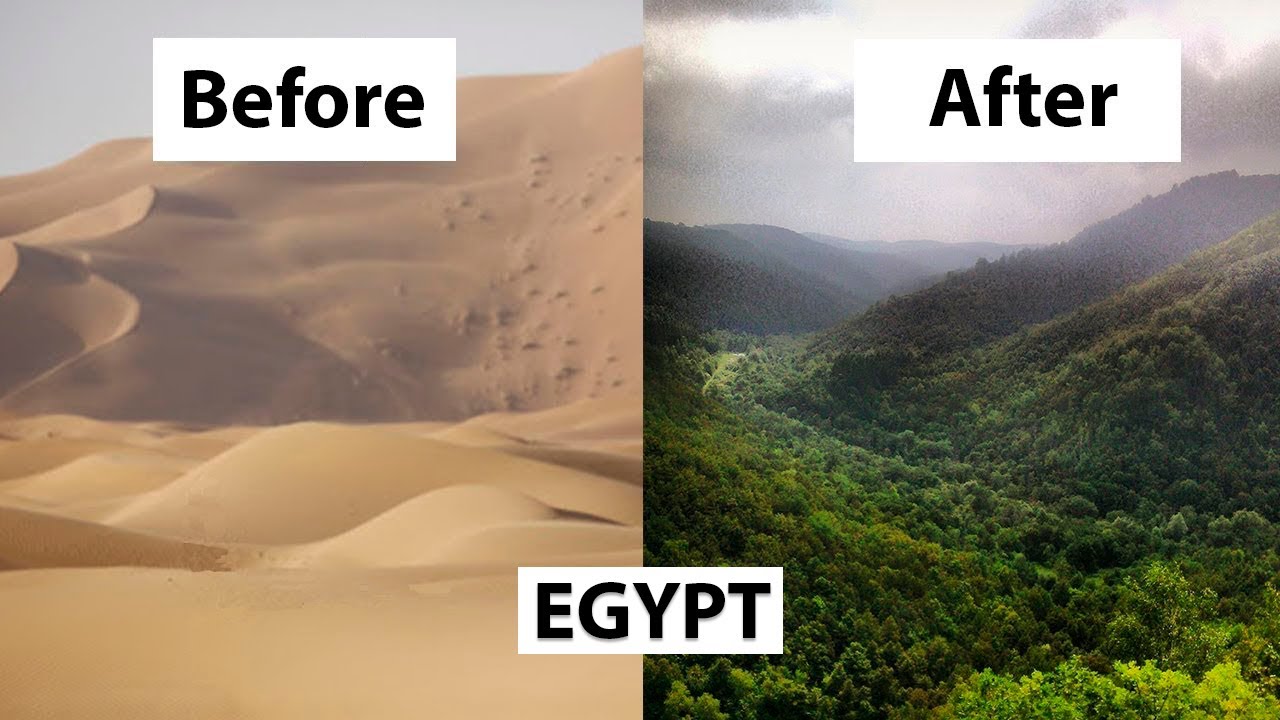 Incredible plan to green the desert of Egypt YouTube