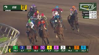 Vidéo de la course PMU PRIX LONQUIMAY