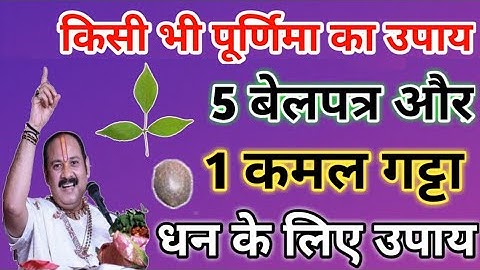 किसी भी पूर्णिमा का उपाय | 5 बेलपत्र और 1 कमलगट्टा धन के लिए उपाय | pradeep ji mishra purnima upay
