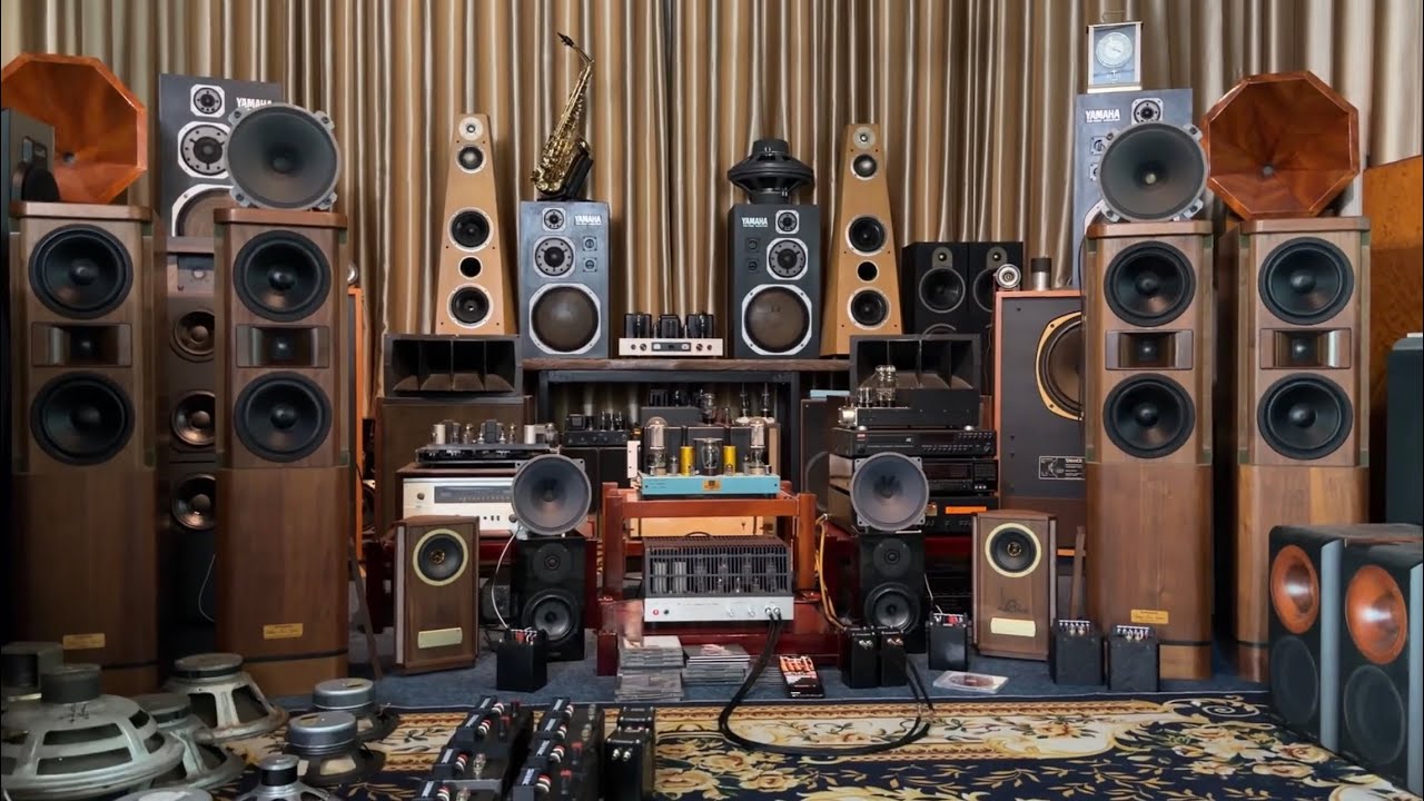 Pioneer S-1000 TWIN phối ghép loa toàn dãi ( chất âm  DIY ) 