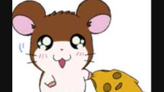 Hamtaro Penelope
