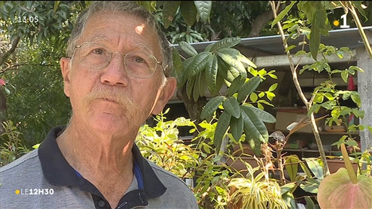 [Kosalafé] Raymond Lucas