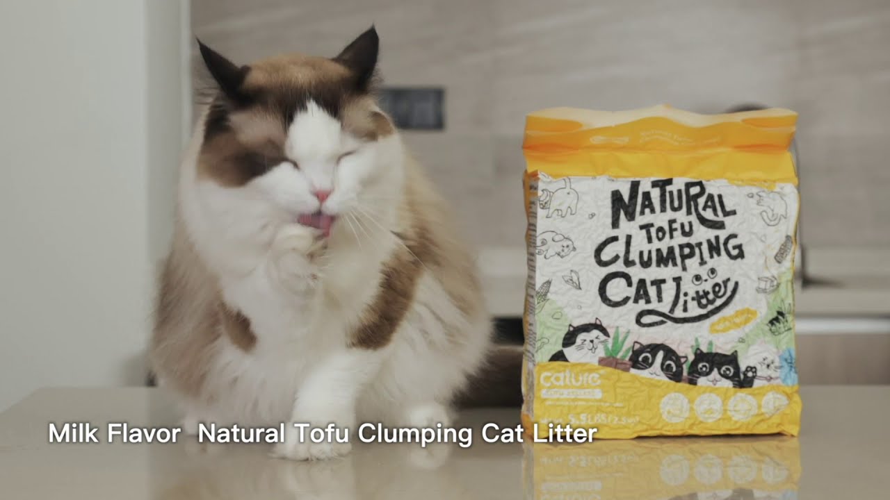 Cature tofu cat litter | Cature india | Natural Cat Litter | Flushable and Biodegradable.