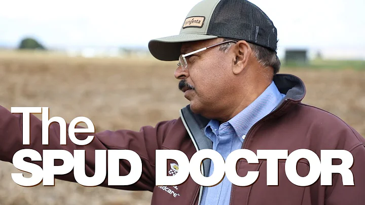 Verticillium Wilt Suppression in Potatoes with Elatus