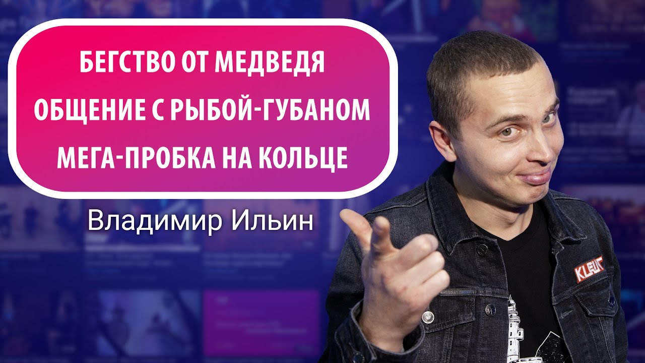 Побег от медведя, рыба-губан и мега-пробка. Обзор социальных сетей ...