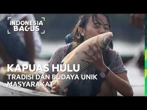 Tradisi dan Budaya Unik Masyarakat Kapuas Hulu - Indonesia Bagus