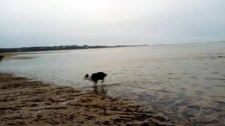 VID 20161015 184815 1