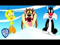 Looney Tunes | Adventure Time with Tweety, Taz and Sylvester | WB Kids