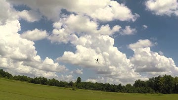 Align Trex 600 Nitro with crash