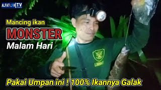 Mancing Ikan Monster Malam Hari - Pakai Umpan ini ? 100% Ampuh ! Sungai Alai - Jambi