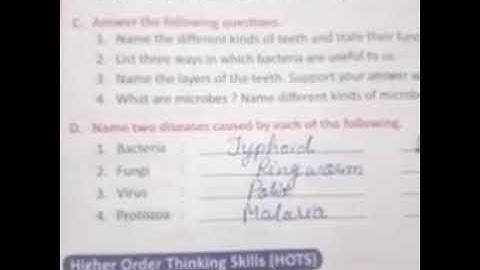 Class 4 science ch-6 exercise-D, quick assignment exercise-A, B, C, D