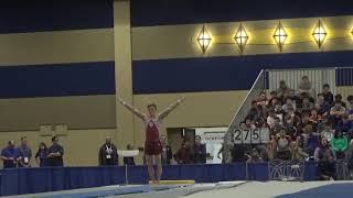 Allan Bower - Vault - 2020 Winter Cup Senior Prelims