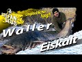 XXL WINTER-WALLER bei Eis und Schnee | WELSANGELN unter dem Gefrierpunkt mit U-Pose und Köderfisch