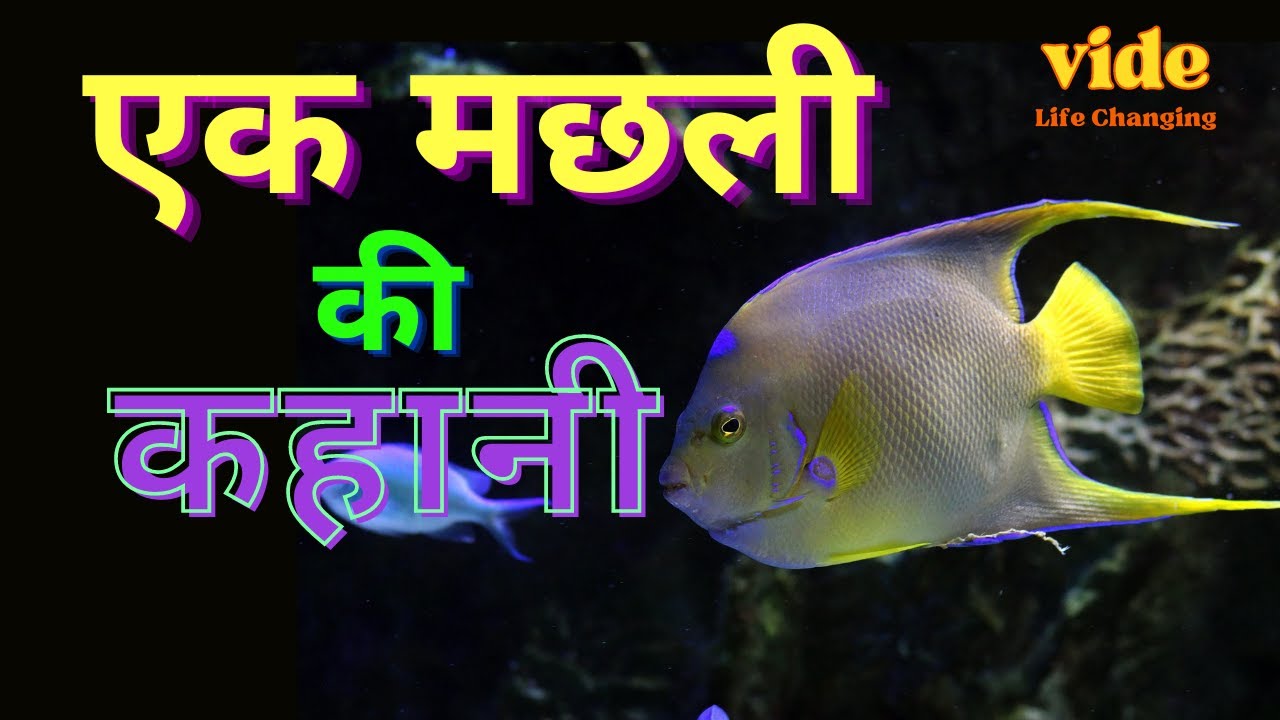 एक मछली की कहानी। Life changing fish story in Hindi। Hindi moral story ...