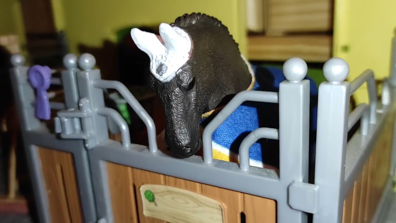 Co si Asi Myslí Koně?!?🐎 (Frist vid)