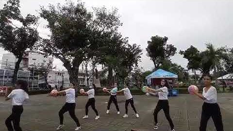 Rhythmic Gymnastics Apparatus ( Ball )