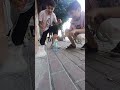 هيك نهاية يلي بدو يطق فتيش