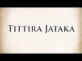 Subordination  tittira jataka  animated buddhist stories